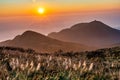 Sunset scenery of Taipei Royalty Free Stock Photo