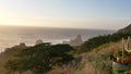 Sunset at scenic Big Sur coast of pacific ocean with beautiful flowers and green plants