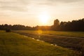 Sunset, Schlosspark Buch Royalty Free Stock Photo