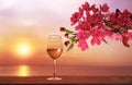 Sunset at sea glass of white wine and seagull fly ,  spring flowers branch seascape horizon ,sun down ,summer leisure vacation  na Royalty Free Stock Photo