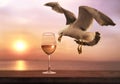 Sunset at sea glass of white wine and seagull fly ,  spring flowers branch seascape horizon ,sun down ,summer leisure vacation  na Royalty Free Stock Photo