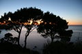 Sunset on the sea with pinetrees Royalty Free Stock Photo