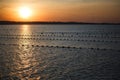 Sunset on the sea, seagulls fly over the waves and the outlines of the stone island. Royalty Free Stock Photo