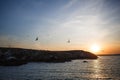 Sunset on the sea, seagulls fly over the waves and the outlines of the stone island. Royalty Free Stock Photo