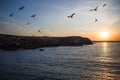 Sunset on the sea, seagulls fly over the waves and the outlines of the stone island. Royalty Free Stock Photo