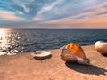 sunset at sea Seashells on stone rock on sunset at blue sea summer sun reflection on water wave nature landscape