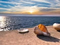 Sunset at sea Seashells on stone rock on sunset at blue sea summer sun reflection on water wave nature landscape