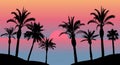 Sunset in the sea, silhouettes of palm trees on the beach. Vector illustration Royalty Free Stock Photo