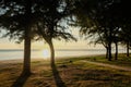 Sunset at sea with trees sway at Chaolao Tosang Beach Chanthaburi Thailand for nature background or texture.