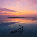 Sunset seascape, old anchor in water