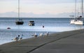 Sunset in the seaside city. Walking by pier.