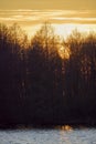 Sunset seen through the branches of the trees Royalty Free Stock Photo