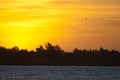 Sunset on the Senegal River in the Langue de Barbarie National Park.