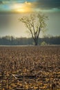 Sunset at Sequoyah National Wildlife Refuge Royalty Free Stock Photo