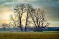 Sunset at Sequoyah National Wildlife Refuge Royalty Free Stock Photo