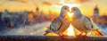 Sunset Serenade: Lovebirds Whisper and kiss in the Golden Hour. Two doves create a heart shape with their beaks against