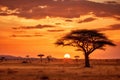 Sunset in Serengeti National Park, Tanzania, Africa, African savannah with acacia trees at sunset. Serengeti National Park, Royalty Free Stock Photo