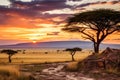 Sunset in Serengeti National Park, Tanzania, Africa, African savannah scene with acacia trees during sunset in Serengeti National Royalty Free Stock Photo