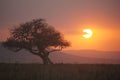 Sunset Serengeti NP, Tanzania