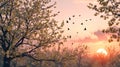 Sunset Serenity: Birds Soaring Over Blossoming Trees in Springtime Tranquility Royalty Free Stock Photo