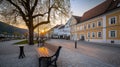 Sunset Serenity: Cobblestone Street with Tree-Lined Walkway and Classic Architecture Royalty Free Stock Photo