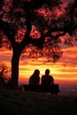 Sunset Serenity: Love blossoms in the glow of a breathtaking sunset