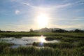 Sunset, shadow in a pond Royalty Free Stock Photo