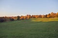 Sunset shadow on rugged hill meadow terrain with forest in background