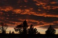 Sunset Shilhouette, Vedauwoo 1
