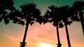 Silhouettes of palms on the beach against the backdrop of the setting sun. Royalty Free Stock Photo