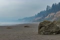 hazy evening with fog at ruby beach Royalty Free Stock Photo