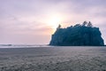 large forested sea stack in washington with soft sunset Royalty Free Stock Photo
