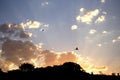 Sunset in the Sierras de CÃÂ³rdoba, Argentina. Birds flying in the sky with clouds. Royalty Free Stock Photo