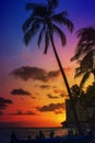 Sunset silhouette background with colorful sky, ocean and palm trees Royalty Free Stock Photo