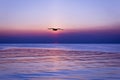 Sunset and silhouette bird