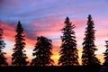 Sunset Silhouette, Brandon, Manitoba