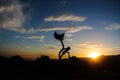 Joshua Tree National Park, Sunset Royalty Free Stock Photo