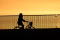 Sunset silhouette of cyclist