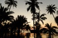 Silhouette palm trees over swimming pool by the pool