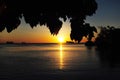 Sunset silhouette framed by tree leaves