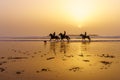 Sunset silhouette of horses and riders, beach of Essaouira