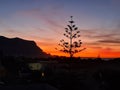 sunset with silhouette of houses and trees in the background