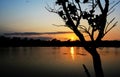 Sunset with silhouette leaves