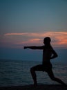 Sunset silhouette of man practicing martial arts