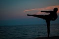 Sunset silhouette of man practicing martial arts