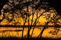 Sunset silhouette at the Milford Point Coastal Center in Connect