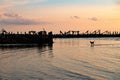 Sunset with silhouette of an old sea-bridge and a dog at the seaside of of the Baltic sea Royalty Free Stock Photo