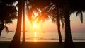 Sunset and silhouette of palm trees on the sea beach. Nature. Royalty Free Stock Photo