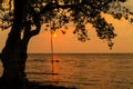 Sunset with silhouette of tree in Bailan beach Royalty Free Stock Photo