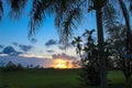 Sunset and silhouette of trees on golf course Royalty Free Stock Photo